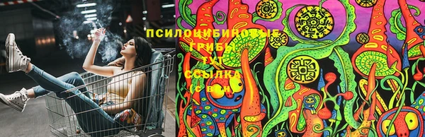 a pvp Горнозаводск