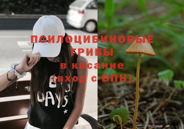 соль ск Горняк