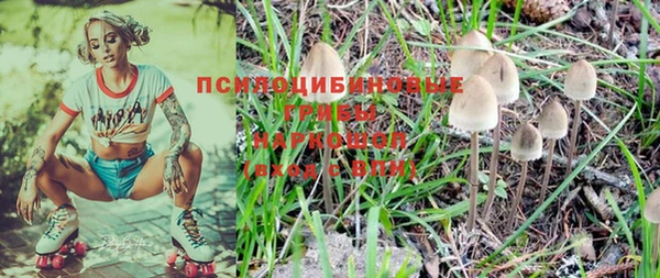a pvp Горнозаводск