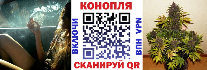 Шишки марихуана индика  Купить где  Иннополис 